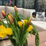 Apartament Ohana Foeldszint - Kecskemét