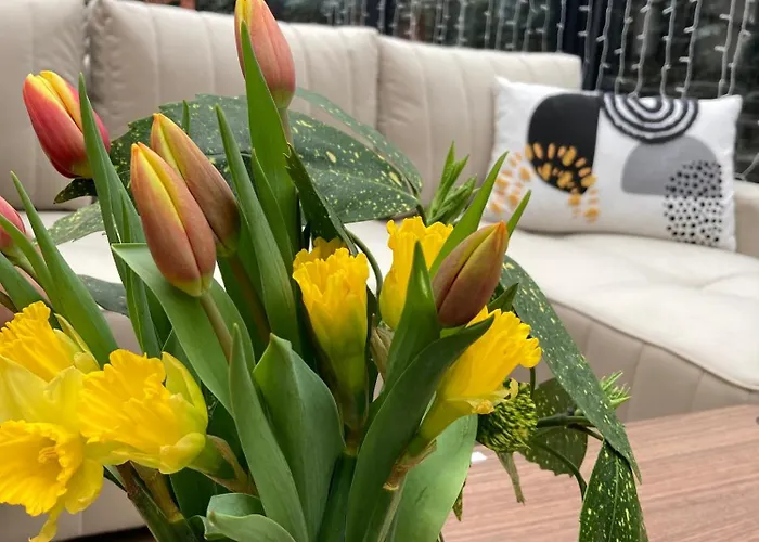 Apartment Ohana Foeldszint - Kecskemet